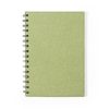 Notatnik Idina P167148T zielony