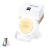 Wielofunkcyjna lampa Sadow P167394T