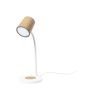 Wielofunkcyjna lampa Borstein P167953T