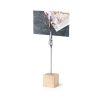 Klips Sanny P168214T
