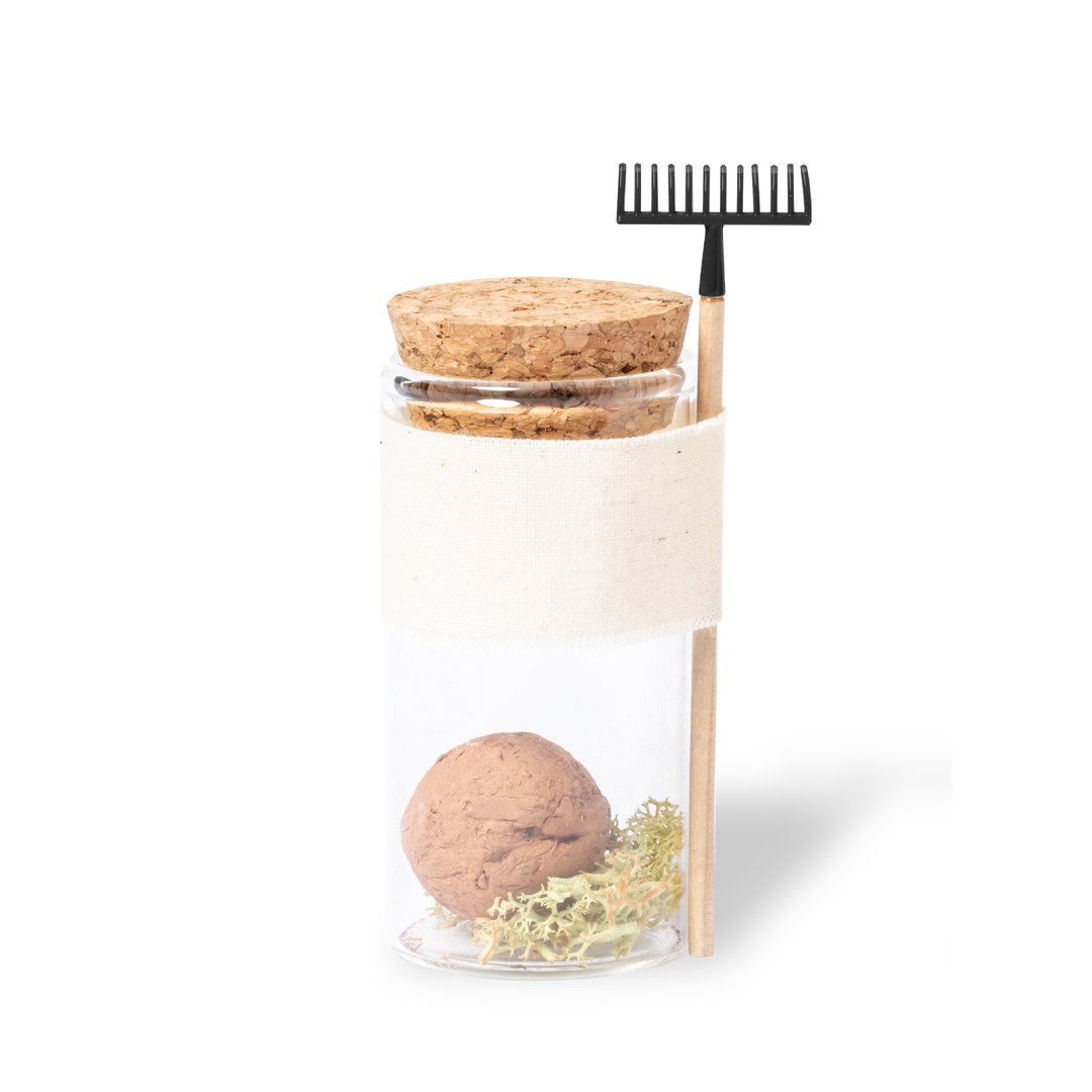 Seeds Bonbons Winsu P168278T MKT-1932-W
