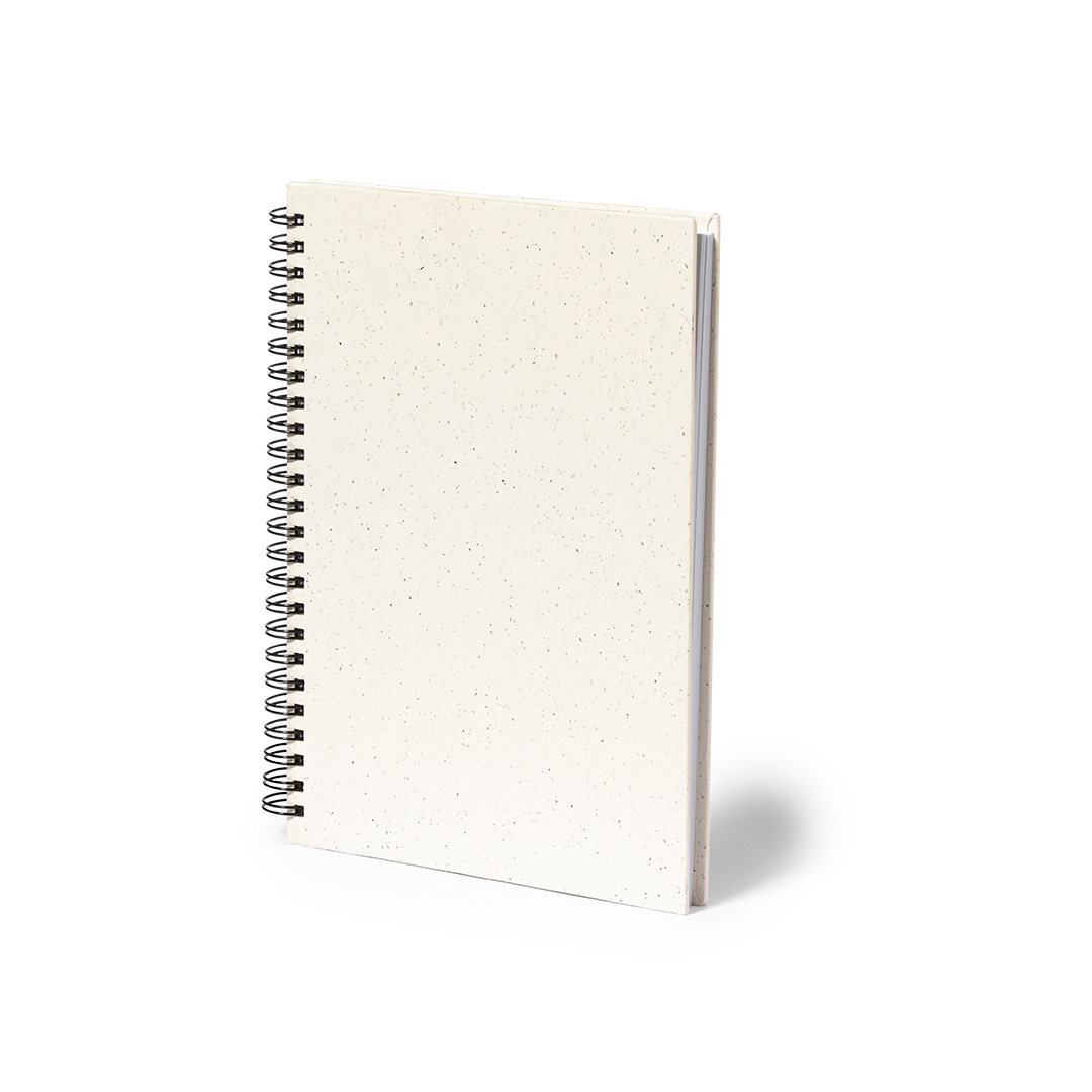 Notatnik Hantiz P168800T