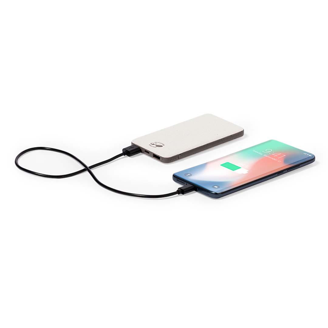 Power bank Mayer P169250T