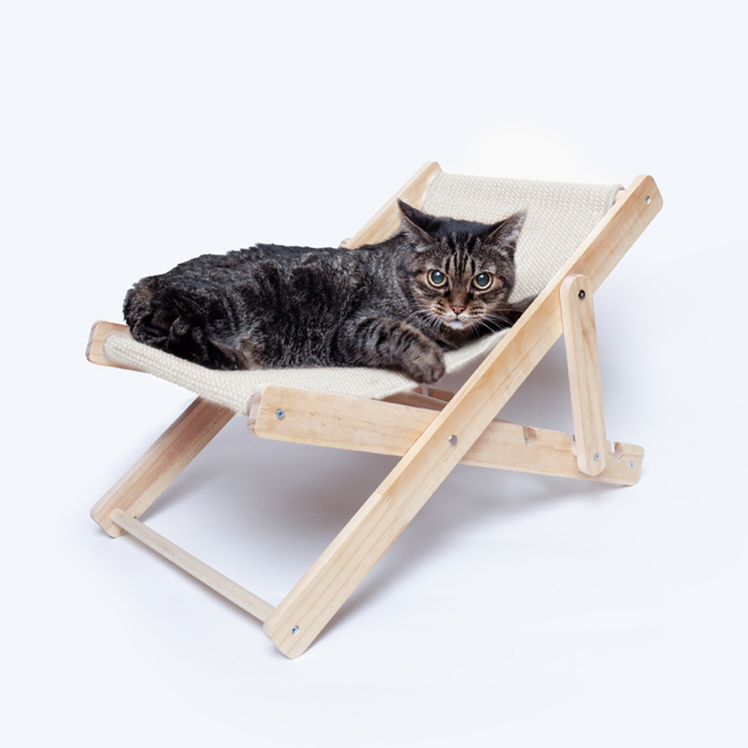 Pets Chair Diny P169318T 3 Pets Chair Diny P169318T