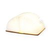 Lampka Joneson P169800T
