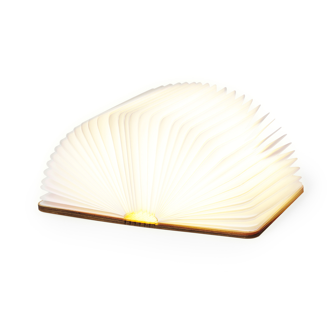 Lampka Joneson P169800T