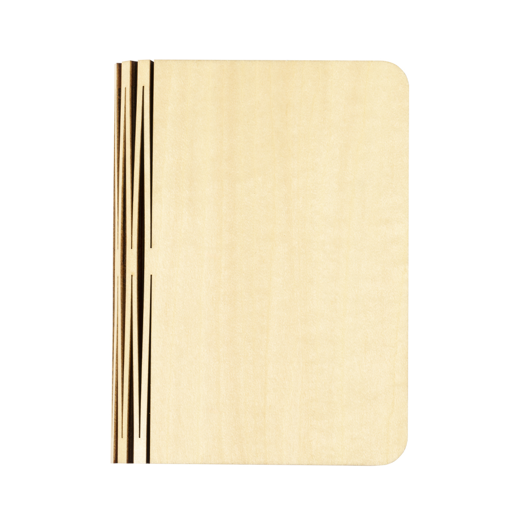 Lampka Joneson P169800T
