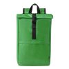 Plecak Vaega P170487T zielony