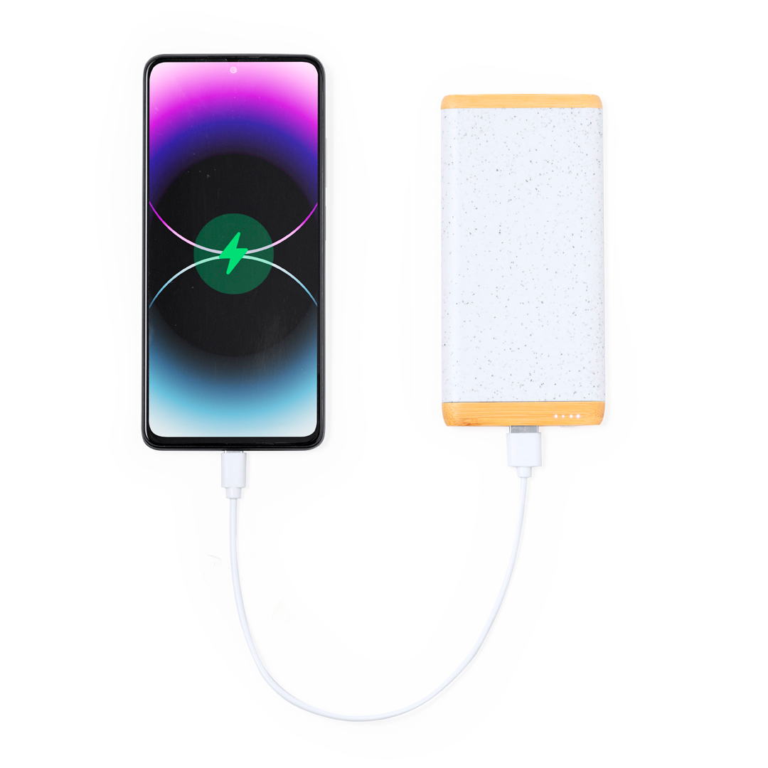Power bank Coquin P171964T 4 Power bank Coquin P171964T