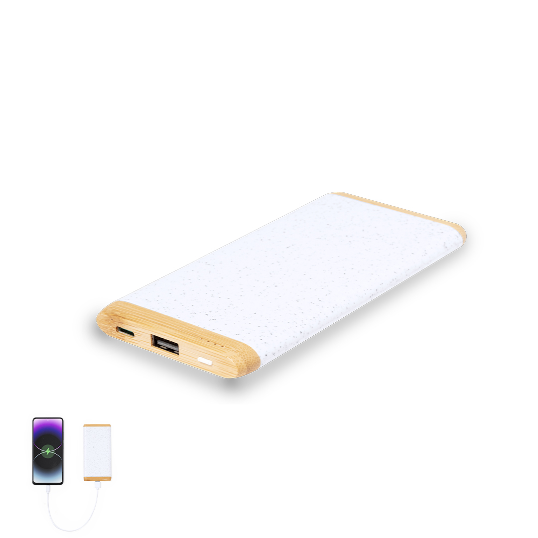 Power bank Coquin P171964T 2 Power bank Coquin P171964T