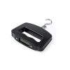Waga kuchenna Niben P171988T