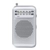 Radio Mester P172497T