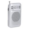 Radio Mester P172497T