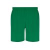 Szorty Rudig P172789T zielony Szorty Rudig P172789T zielony