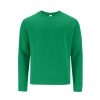 Bluza dziecięca Cosmos P175233T zielony