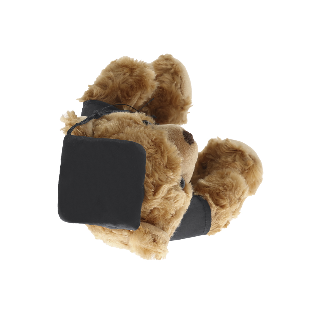 Teddy Kamor P176207T