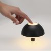 Lampka Kalvan P176225T