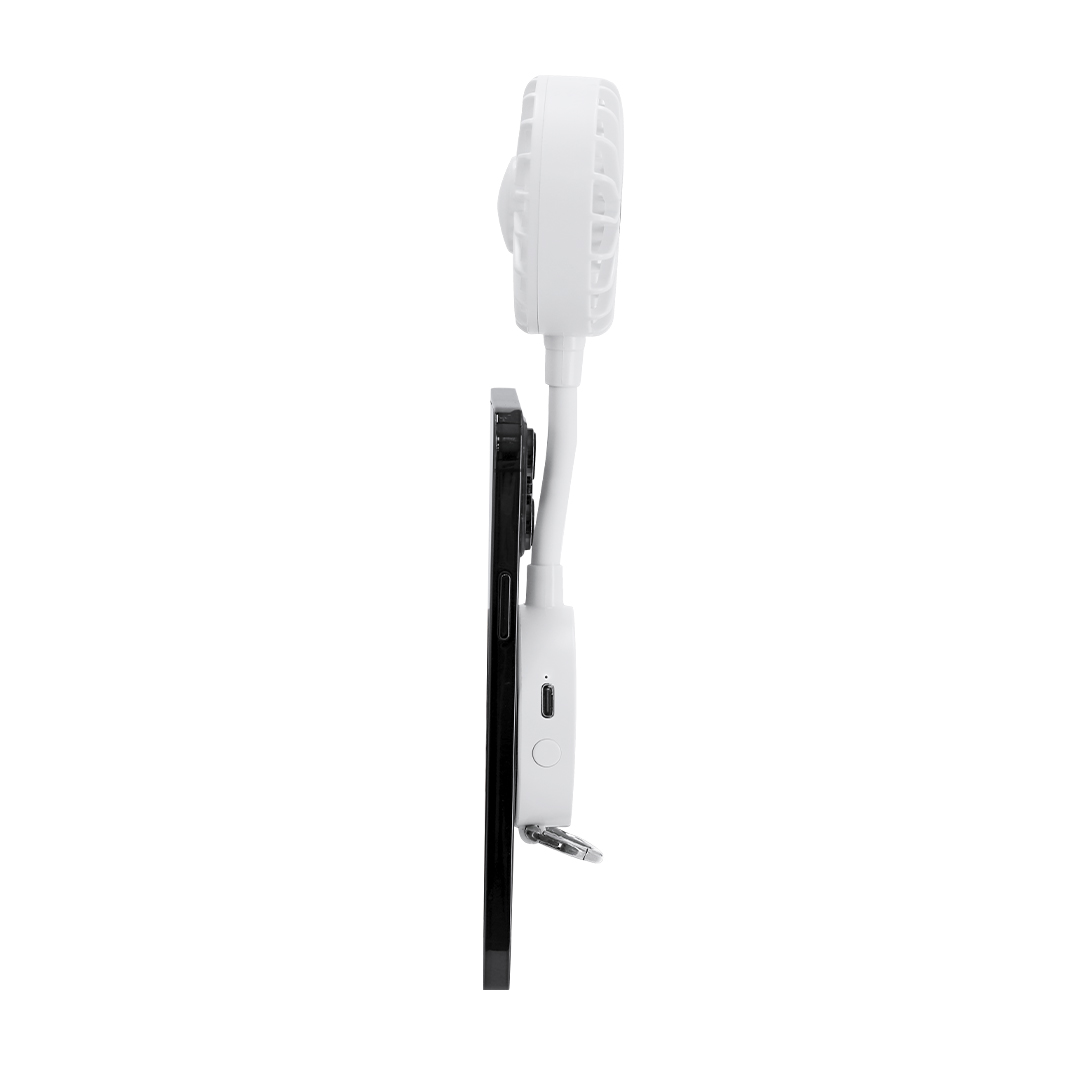 Wachlarz Novarin P175919T