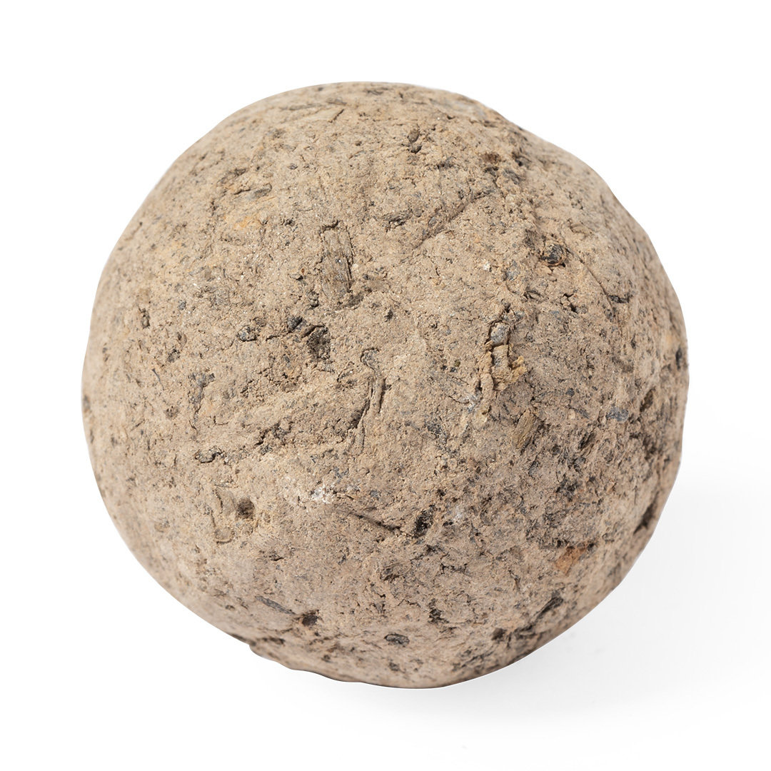 Bonbony nasienne Mussox P167199T 4 Bonbony nasienne Mussox P167199T
