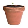 Bonbony nasienne Mussox P167199T 5 Bonbony nasienne Mussox P167199T