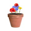 Bonbony nasienne Mussox P167199T 6 Bonbony nasienne Mussox P167199T