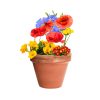 Bonbony nasienne Mussox P167199T 7 Bonbony nasienne Mussox P167199T