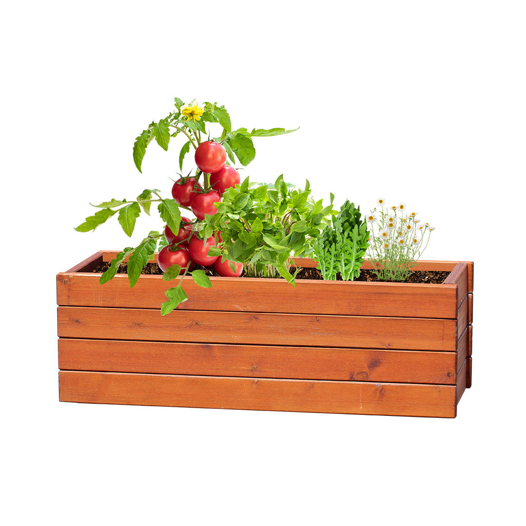 Zestaw ogrodniczy Tomarux P167200T 5 Zestaw ogrodniczy Tomarux P167200T