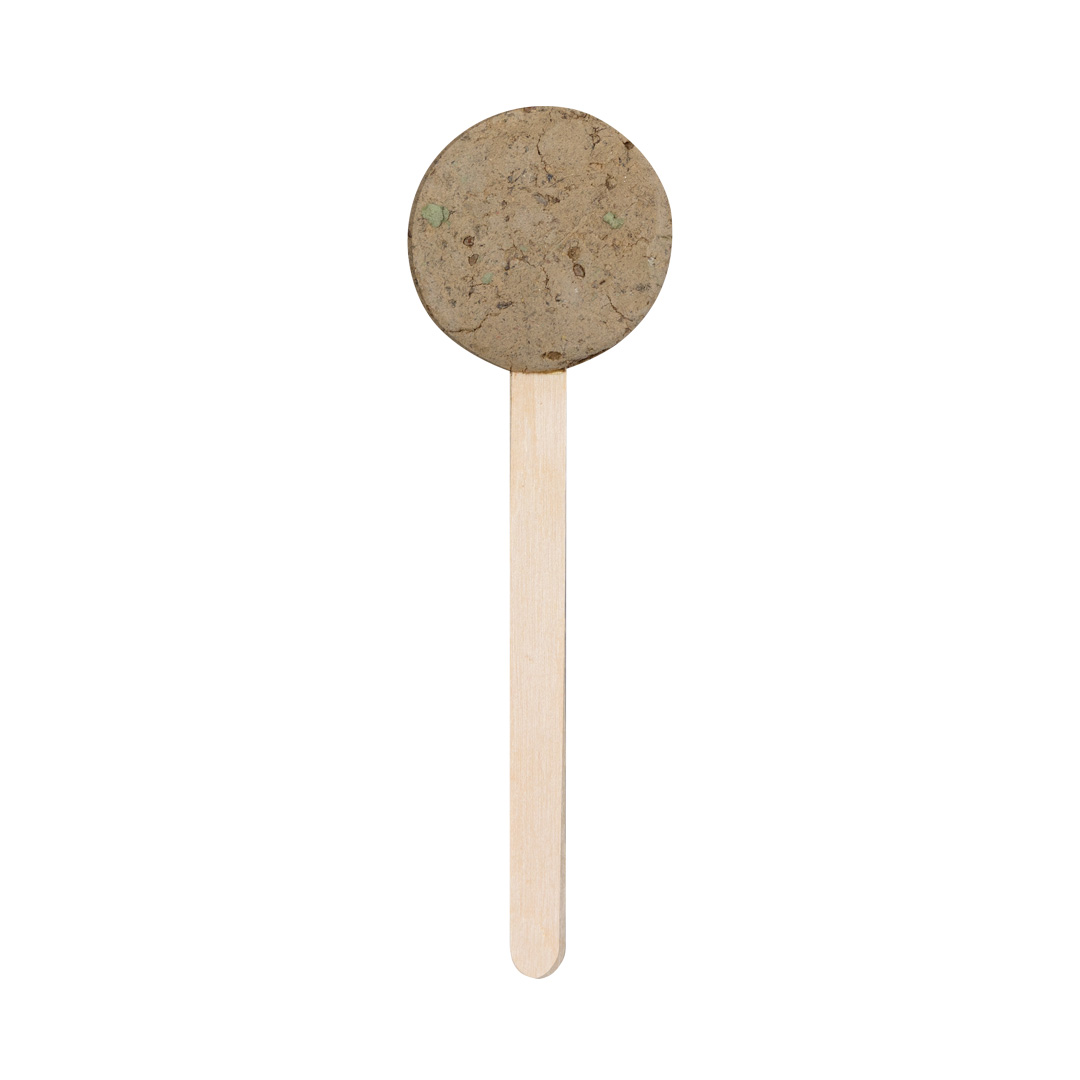 Lizak z nasionami. Ebeldy P174556T MKT-2763NATUS/T