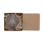 Zestaw do zasadzenia Aquael P177182T 