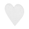 Papier nasienny Cryar P177183T
