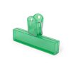 Klips Flint P164186T zielony